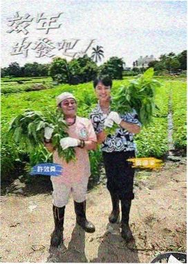 榜单缩略图：配方 03 奶咖肤色四阶渐变